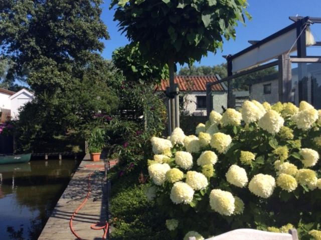 Recreatie Centrum De Hollepoarte 2 Chalets87 Makkum Dış mekan fotoğraf